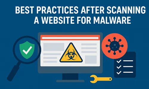 Best Practices After Scanning a Website for Malware