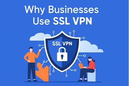 Why Businesses Use SSL VPN