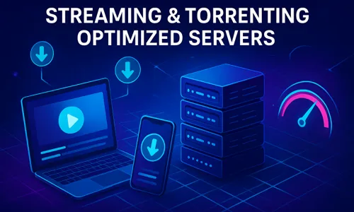 Streaming & Torrenting Optimized Servers