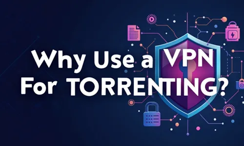 Why Use a VPN for Torrenting